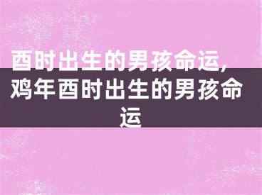 酉时出生的男孩命运,鸡年酉时出生的男孩命运