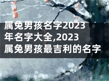 属兔男孩名字2023年名字大全,2023属兔男孩最吉利的名字
