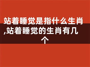 站着睡觉是指什么生肖,站着睡觉的生肖有几个