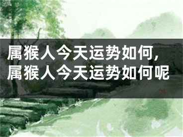 属猴人今天运势如何,属猴人今天运势如何呢