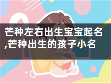 芒种左右出生宝宝起名,芒种出生的孩子小名