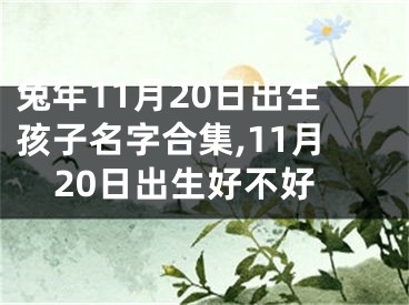 兔年11月20日出生孩子名字合集,11月20日出生好不好