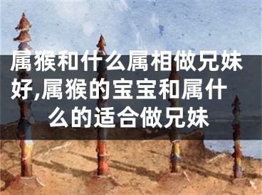 属猴和什么属相做兄妹好,属猴的宝宝和属什么的适合做兄妹
