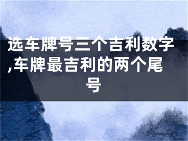 选车牌号三个吉利数字,车牌最吉利的两个尾号