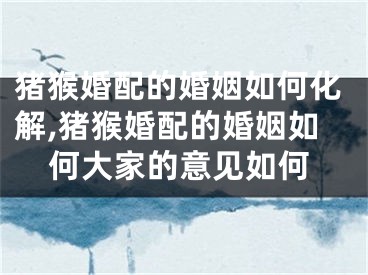 猪猴婚配的婚姻如何化解,猪猴婚配的婚姻如何大家的意见如何
