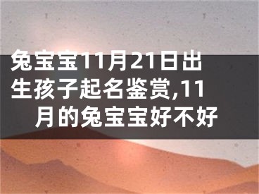 兔宝宝11月21日出生孩子起名鉴赏,11月的兔宝宝好不好