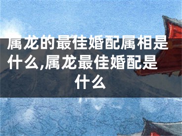 属龙的最佳婚配属相是什么,属龙最佳婚配是什么