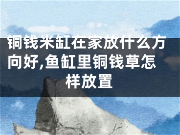 铜钱米缸在家放什么方向好,鱼缸里铜钱草怎样放置