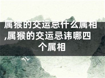属猴的交运忌什么属相,属猴的交运忌讳哪四个属相