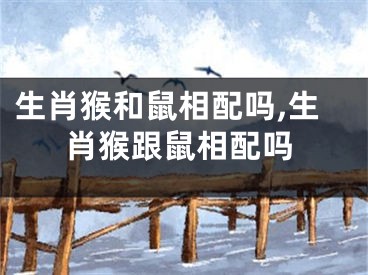 生肖猴和鼠相配吗,生肖猴跟鼠相配吗