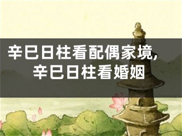辛巳日柱看配偶家境,辛巳日柱看婚姻