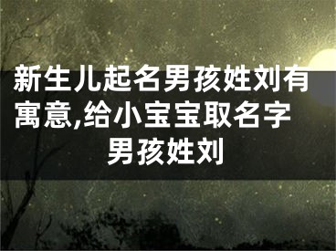 新生儿起名男孩姓刘有寓意,给小宝宝取名字男孩姓刘