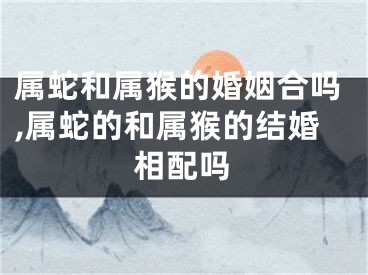 属蛇和属猴的婚姻合吗,属蛇的和属猴的结婚相配吗
