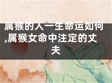 属猴的人一生命运如何,属猴女命中注定的丈夫