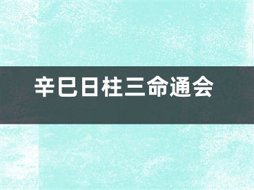 辛巳日柱三命通会