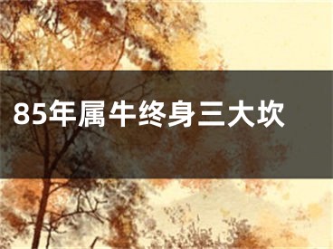 85年属牛终身三大坎