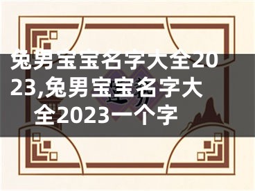 兔男宝宝名字大全2023,兔男宝宝名字大全2023一个字