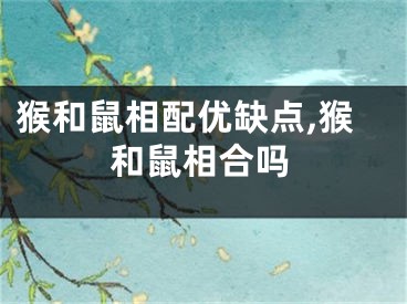 猴和鼠相配优缺点,猴和鼠相合吗