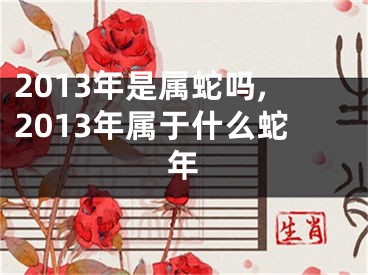 2013年是属蛇吗,2013年属于什么蛇年