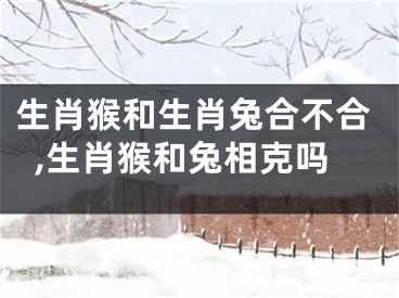 生肖猴和生肖兔合不合,生肖猴和兔相克吗