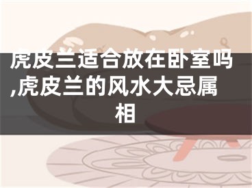 虎皮兰适合放在卧室吗,虎皮兰的风水大忌属相