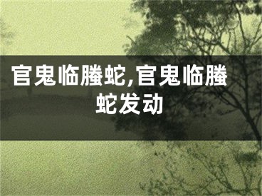官鬼临螣蛇,官鬼临螣蛇发动