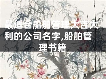 最适合船舶管理大吉大利的公司名字,船舶管理书籍