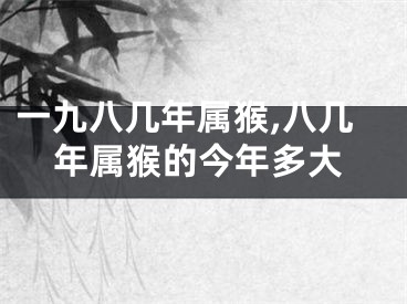 一九八几年属猴,八几年属猴的今年多大