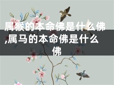属猴的本命佛是什么佛,属马的本命佛是什么佛