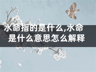 水命指的是什么,水命是什么意思怎么解释