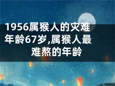 1956属猴人的灾难年龄67岁,属猴人最难熬的年龄