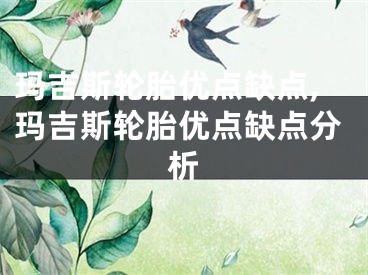 玛吉斯轮胎优点缺点,玛吉斯轮胎优点缺点分析