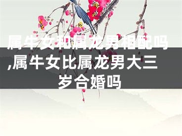 属牛女和属龙男相配吗,属牛女比属龙男大三岁合婚吗