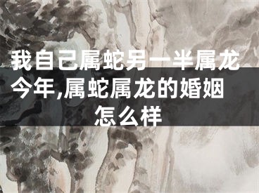 我自己属蛇另一半属龙今年,属蛇属龙的婚姻怎么样