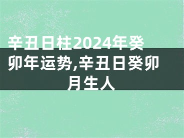 辛丑日柱2024年癸卯年运势,辛丑日癸卯月生人