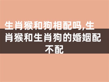 生肖猴和狗相配吗,生肖猴和生肖狗的婚姻配不配