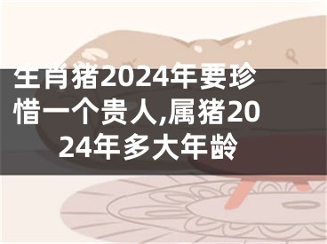 生肖猪2024年要珍惜一个贵人,属猪2024年多大年龄