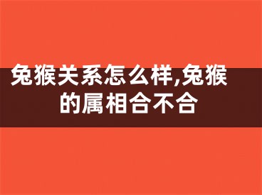 兔猴关系怎么样,兔猴的属相合不合