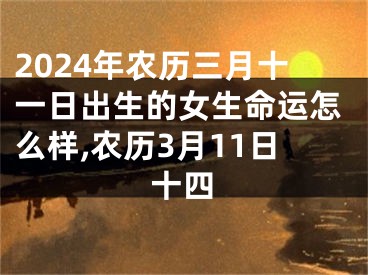 2024年农历三月十一日出生的女生命运怎么样,农历3月11日十四