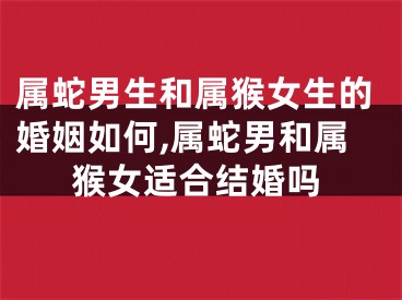 属蛇男生和属猴女生的婚姻如何,属蛇男和属猴女适合结婚吗