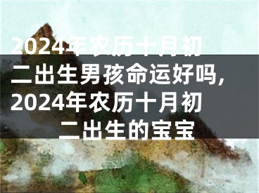 2024年农历十月初二出生男孩命运好吗,2024年农历十月初二出生的宝宝