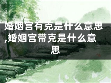婚姻宫有克是什么意思,婚姻宫带克是什么意思