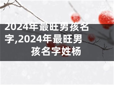 2024年最旺男孩名字,2024年最旺男孩名字姓杨
