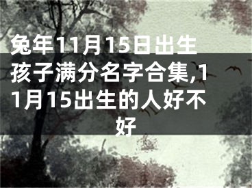 兔年11月15日出生孩子满分名字合集,11月15出生的人好不好
