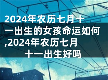 2024年农历七月十一出生的女孩命运如何,2024年农历七月十一出生好吗