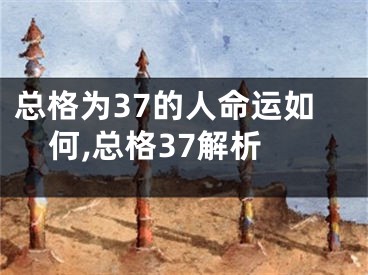总格为37的人命运如何,总格37解析