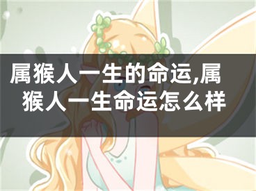 属猴人一生的命运,属猴人一生命运怎么样