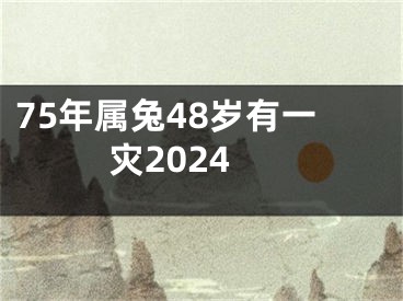 75年属兔48岁有一灾2024