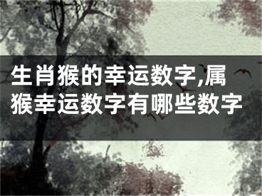 生肖猴的幸运数字,属猴幸运数字有哪些数字