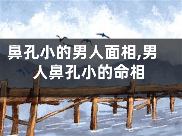 鼻孔小的男人面相,男人鼻孔小的命相